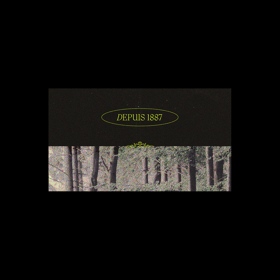 victor visual identity